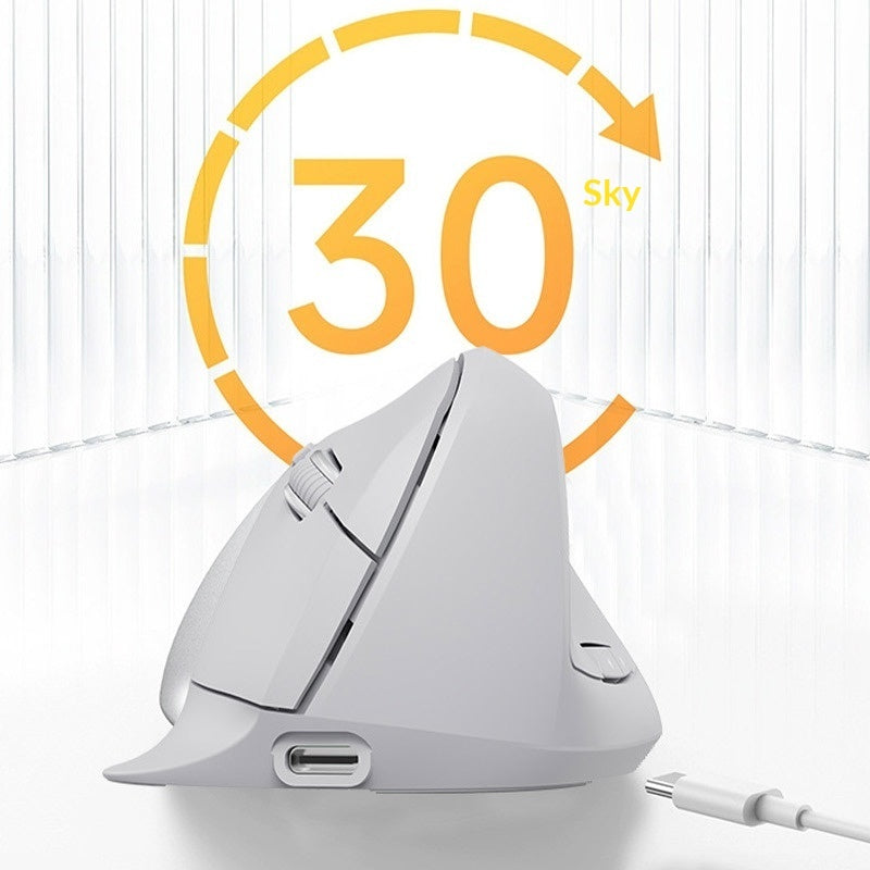 Wireless Bluetooth Vertical Mouse